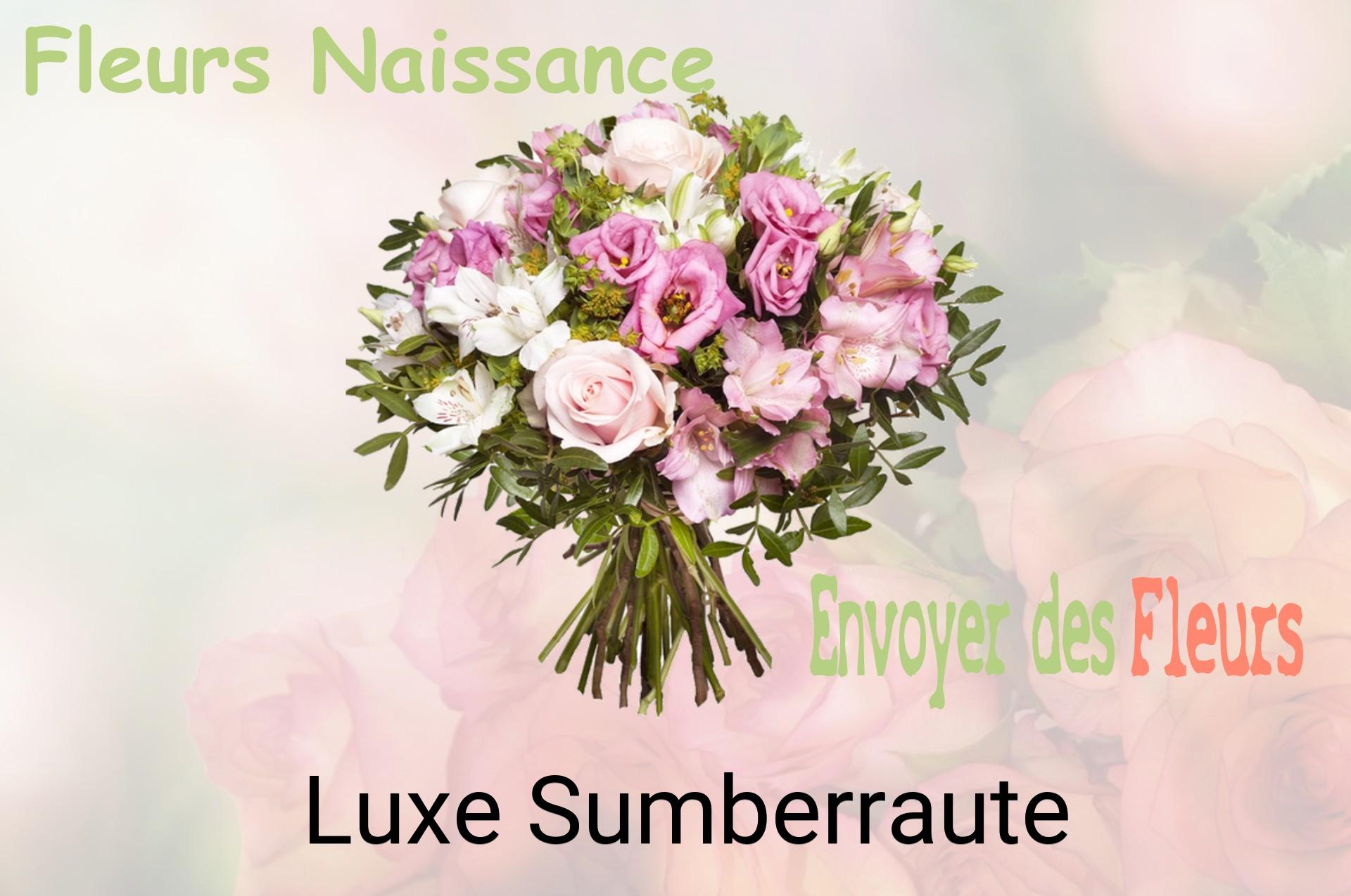 Bouquet de fleurs de naissance livré à Luxe-Sumberraute
